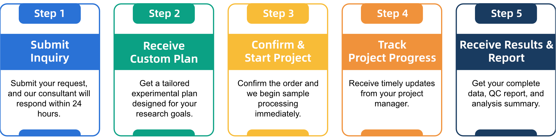 mtoz biolabs service general workflow1.png